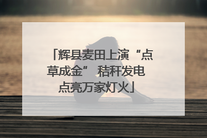 辉县麦田上演“点草成金” 秸秆发电点亮万家灯火