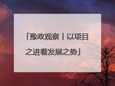 豫政观察丨以项目之进看发展之势