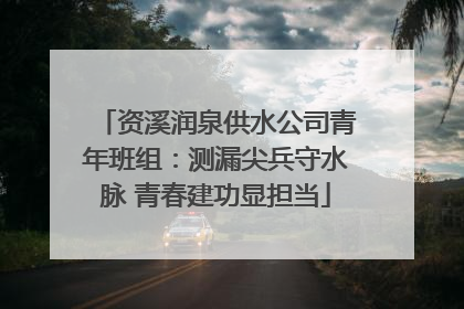 资溪润泉供水公司青年班组：测漏尖兵守水脉 青春建功显担当