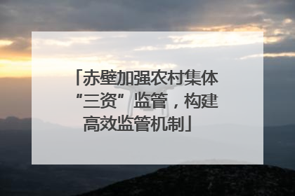 赤壁加强农村集体“三资”监管，构建高效监管机制
