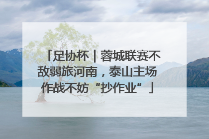 足协杯｜蓉城联赛不敌弱旅河南，泰山主场作战不妨“抄作业”
