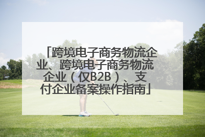 跨境电子商务物流企业、跨境电子商务物流企业（仅B2B）、支付企业备案操作指南