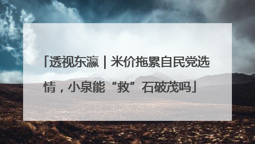 透视东瀛｜米价拖累自民党选情，小泉能“救”石破茂吗