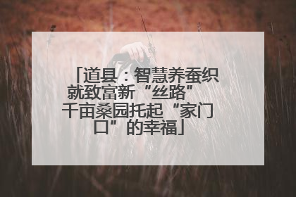 道县：智慧养蚕织就致富新“丝路” 千亩桑园托起“家门口”的幸福