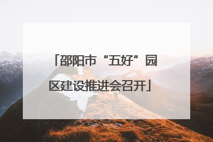 邵阳市“五好”园区建设推进会召开