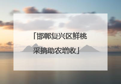 邯郸复兴区鲜桃采摘助农增收