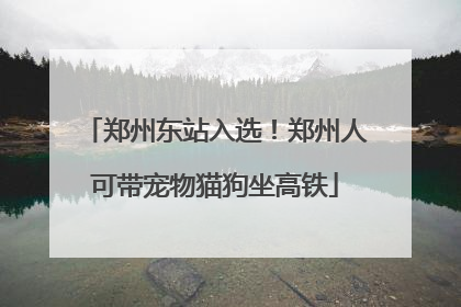 郑州东站入选！郑州人可带宠物猫狗坐高铁