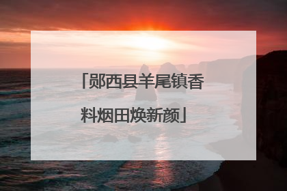 郧西县羊尾镇香料烟田焕新颜