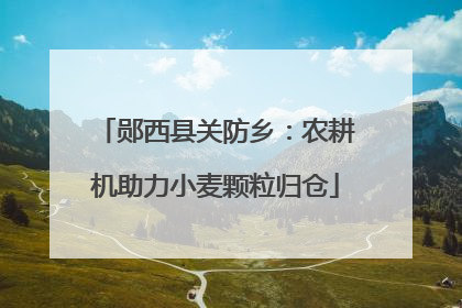 郧西县关防乡：农耕机助力小麦颗粒归仓