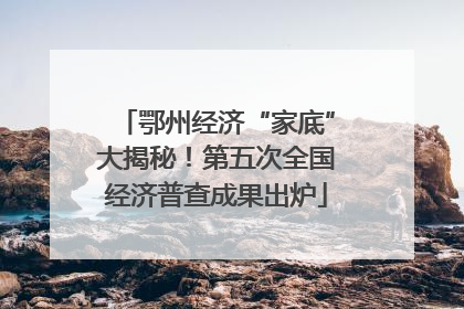 鄂州经济“家底”大揭秘！第五次全国经济普查成果出炉