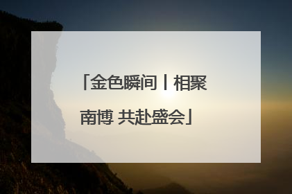 金色瞬间丨相聚南博 共赴盛会