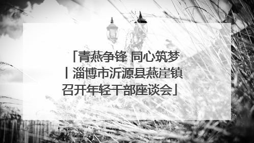 青燕争锋 同心筑梦丨淄博市沂源县燕崖镇召开年轻干部座谈会