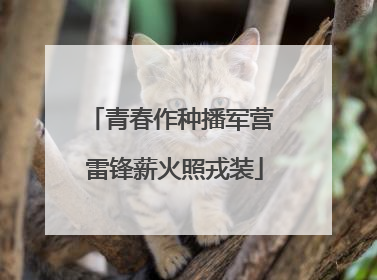 青春作种播军营 雷锋薪火照戎装
