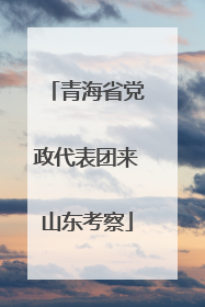 青海省党政代表团来山东考察