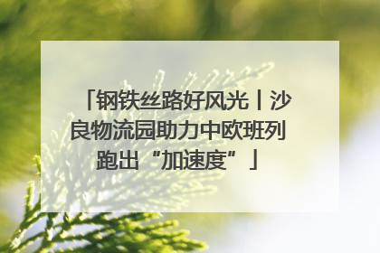 钢铁丝路好风光丨沙良物流园助力中欧班列跑出“加速度”