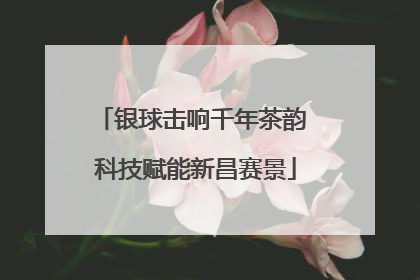 银球击响千年茶韵 科技赋能新昌赛景