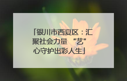 银川市西夏区：汇聚社会力量 “艺”心守护出彩人生