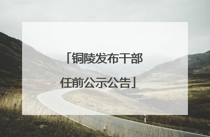 铜陵发布干部任前公示公告