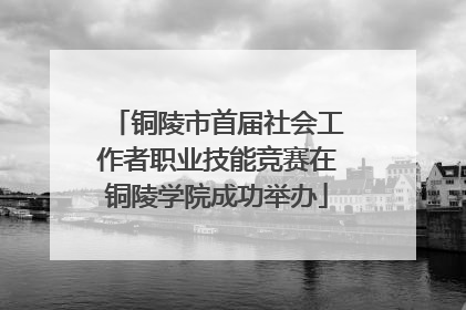 铜陵市首届社会工作者职业技能竞赛在铜陵学院成功举办