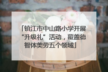 镇江市中山路小学开展“升级礼”活动，覆盖德智体美劳五个领域