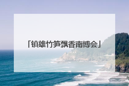 镇雄竹笋飘香南博会