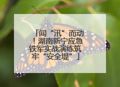 闻“汛”而动！湖南新宁应急铁军实战演练筑牢“安全堤”
