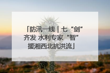 防汛一线｜七“剑”齐发 水利专家“智”援湘西北抗洪流