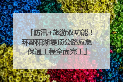 防汛+旅游双功能！环鄱阳湖堤顶公路应急保通工程全面完工