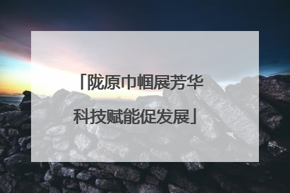 陇原巾帼展芳华 科技赋能促发展