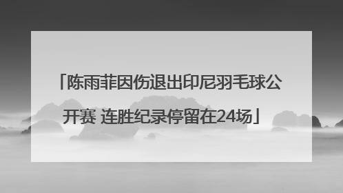 陈雨菲因伤退出印尼羽毛球公开赛 连胜纪录停留在24场