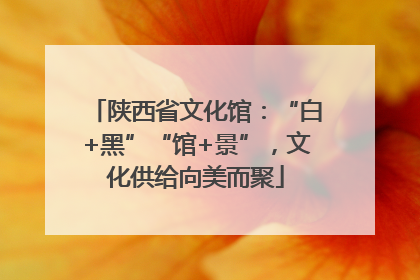 陕西省文化馆：“白+黑”“馆+景”，文化供给向美而聚