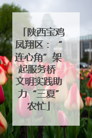 陕西宝鸡凤翔区：“连心角”架起服务桥 文明实践助力“三夏”农忙