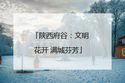 陕西府谷：文明花开 满城芬芳