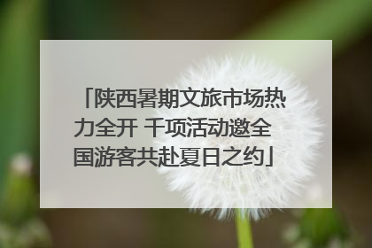 陕西暑期文旅市场热力全开 千项活动邀全国游客共赴夏日之约