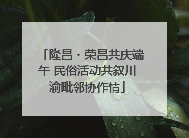 隆昌・荣昌共庆端午 民俗活动共叙川渝毗邻协作情