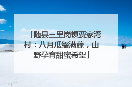 随县三里岗镇贾家湾村：八月瓜缀满藤，山野孕育甜蜜希望