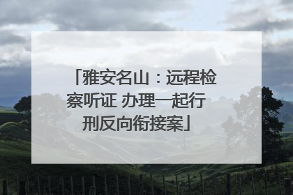 雅安名山：远程检察听证 办理一起行刑反向衔接案