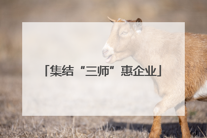 集结“三师”惠企业