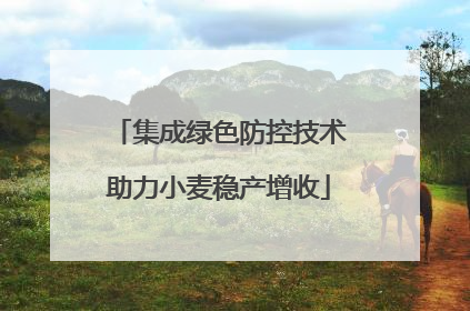 集成绿色防控技术助力小麦稳产增收