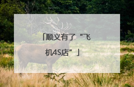 顺义有了“飞机4S店”
