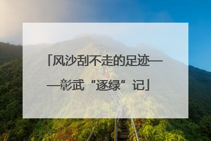 风沙刮不走的足迹——彰武“逐绿”记