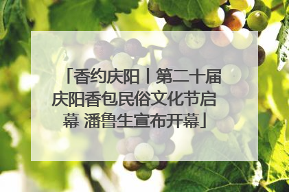 香约庆阳丨第二十届庆阳香包民俗文化节启幕 潘鲁生宣布开幕