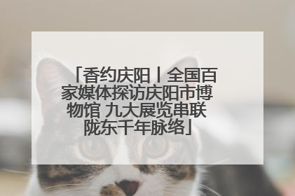 香约庆阳丨全国百家媒体探访庆阳市博物馆 九大展览串联陇东千年脉络