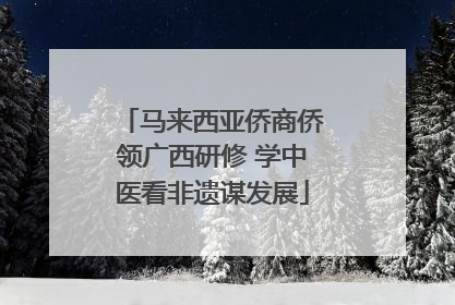 马来西亚侨商侨领广西研修 学中医看非遗谋发展