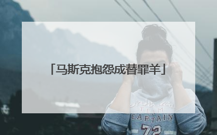 马斯克抱怨成替罪羊
