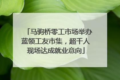马驹桥零工市场举办蓝领工友市集，超千人现场达成就业意向