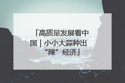 高质量发展看中国｜小小大蒜种出“辣”经济