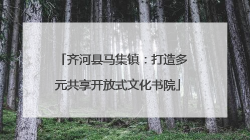 齐河县马集镇：打造多元共享开放式文化书院