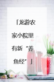 龙游农家小院里有新“养鱼经”