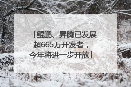 鲲鹏、昇腾已发展超665万开发者，今年将进一步开放